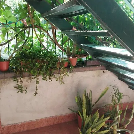 Acquachiara *